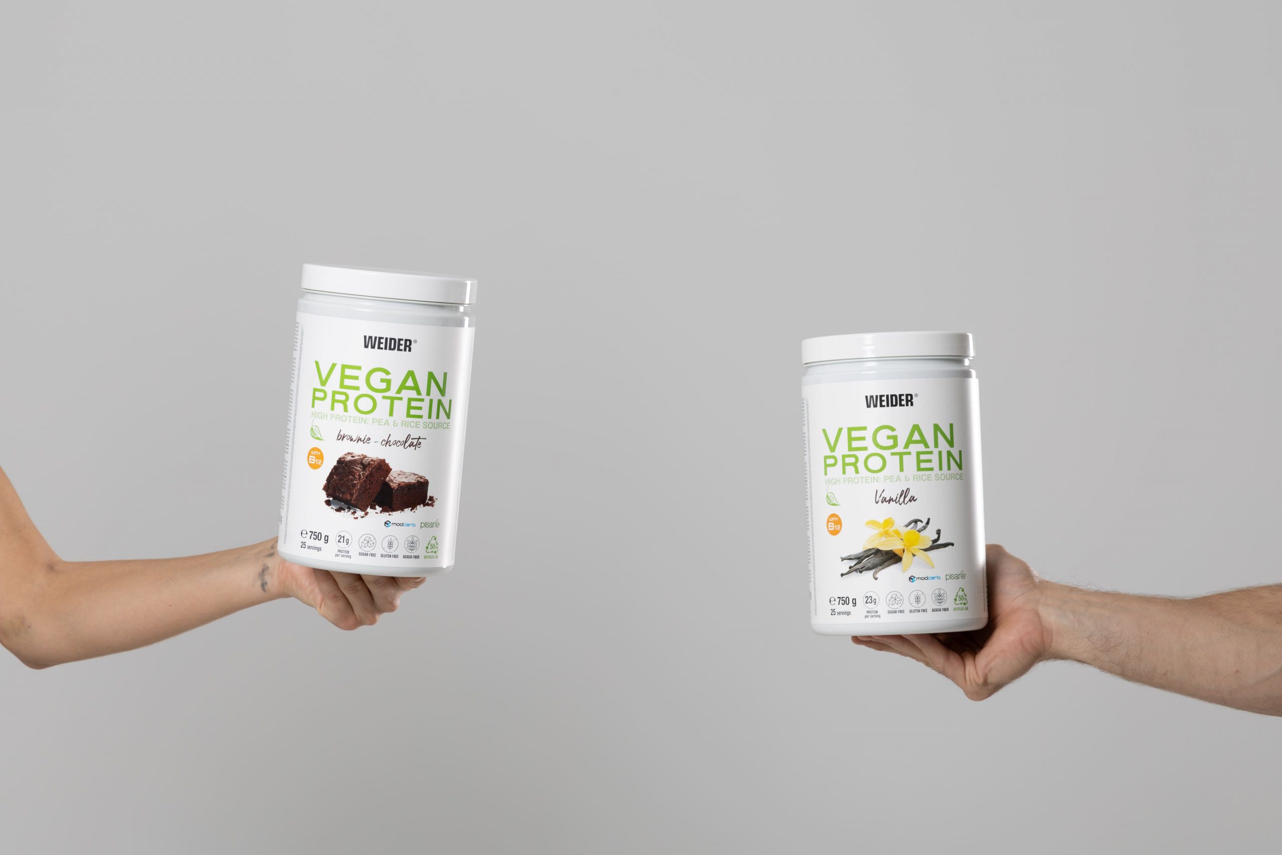 Protéine en poudre Vegan Protein 750g de la marque Weider